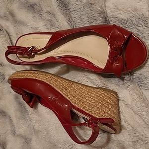 Red Wedges